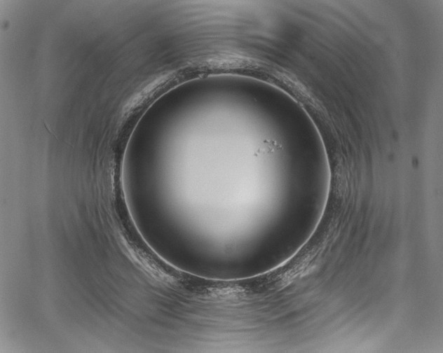 X0000067950446200604131439