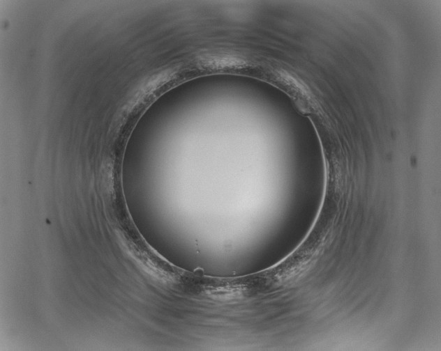 X0000067950447200604131439