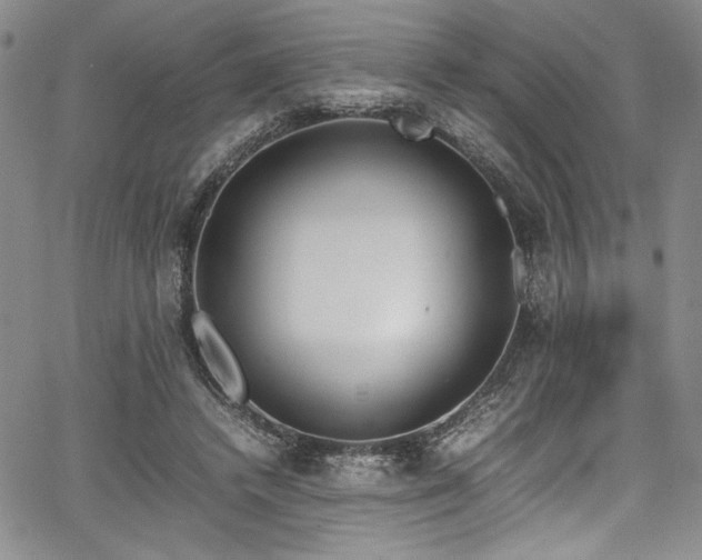 X0000067950448200604131439