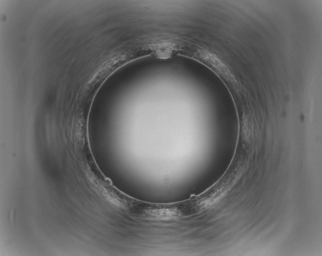 X0000067950449200604131439