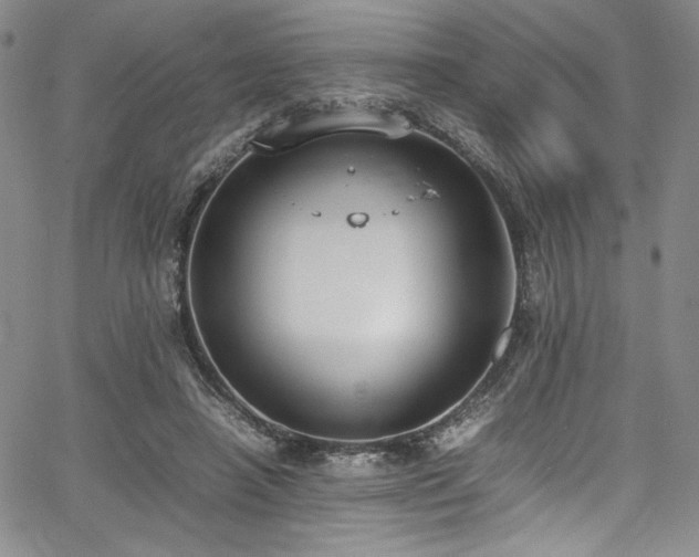 X0000067950450200604131439