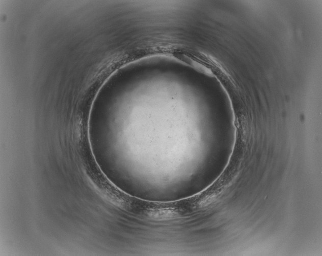 X0000067950451200604131439