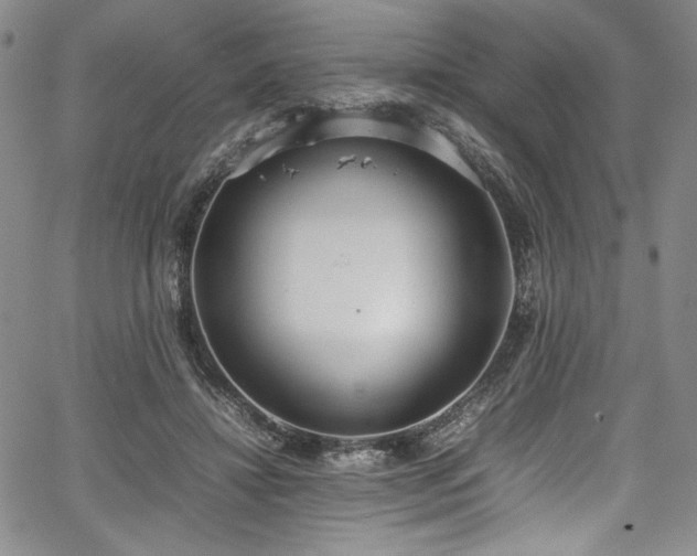 X0000067950452200604131440