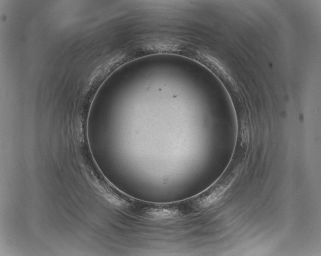 X0000067950453200604131440