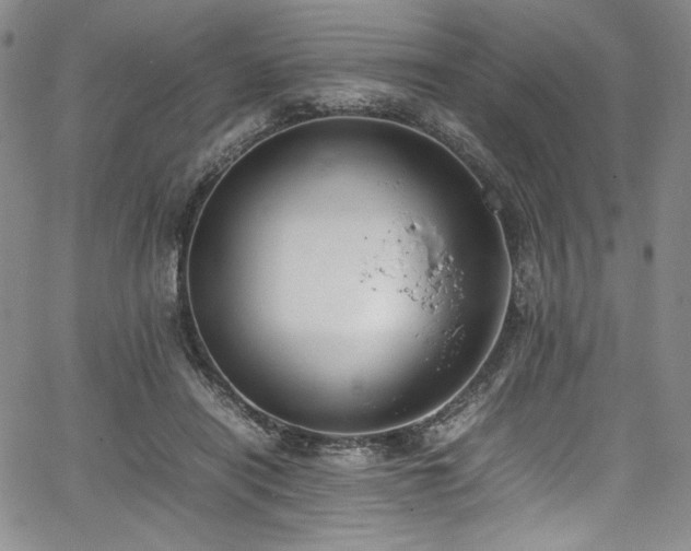 X0000067950454200604131440