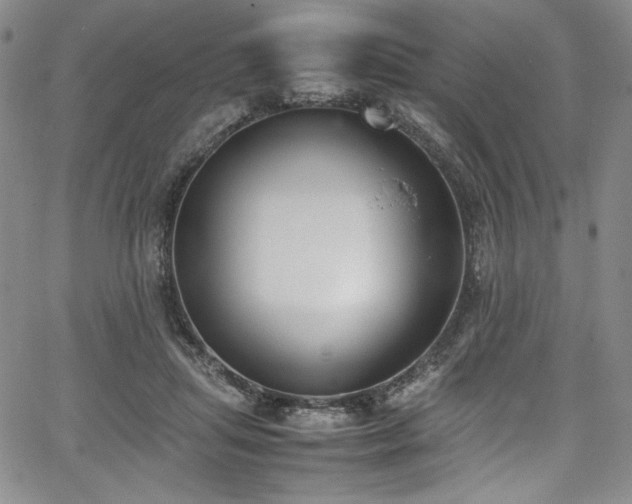 X0000067950455200604131440