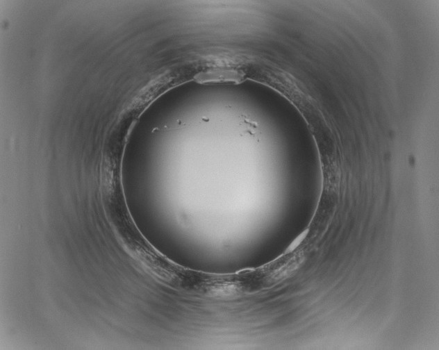 X0000067950456200604131440