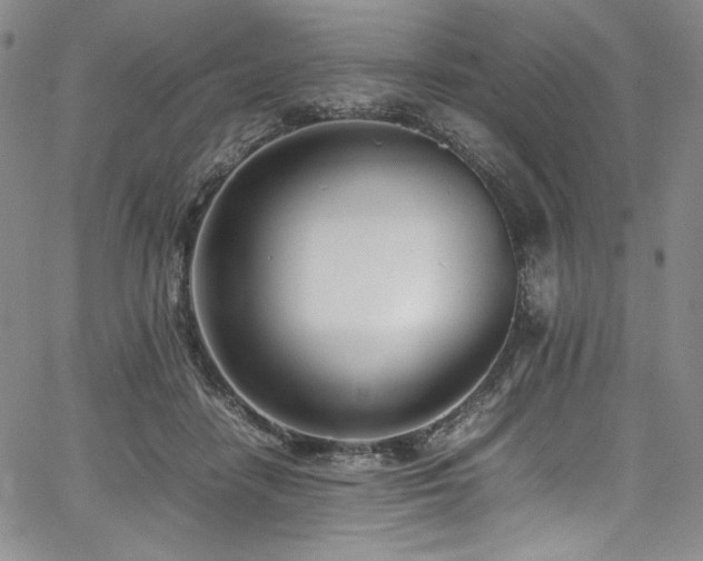 X0000067950458200604131440