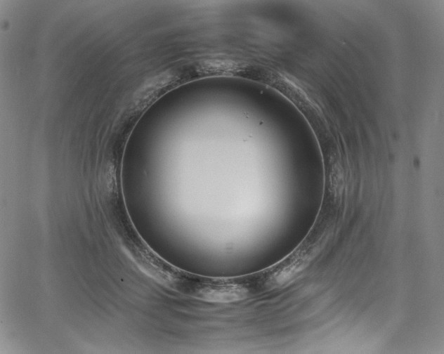 X0000067950459200604131440