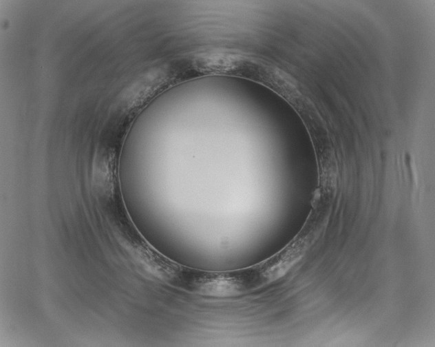 X0000067950460200604131440