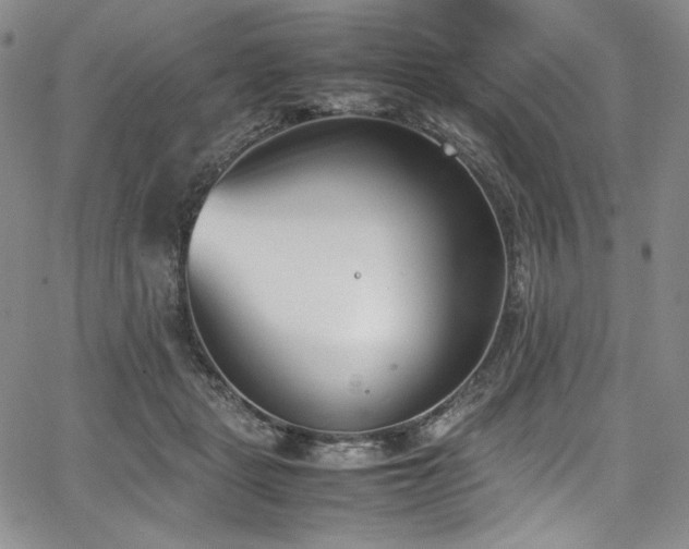 X0000067950461200604131440