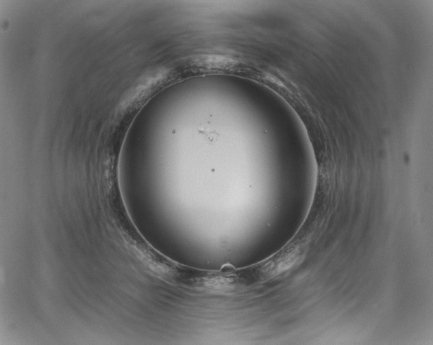 X0000067950462200604131440