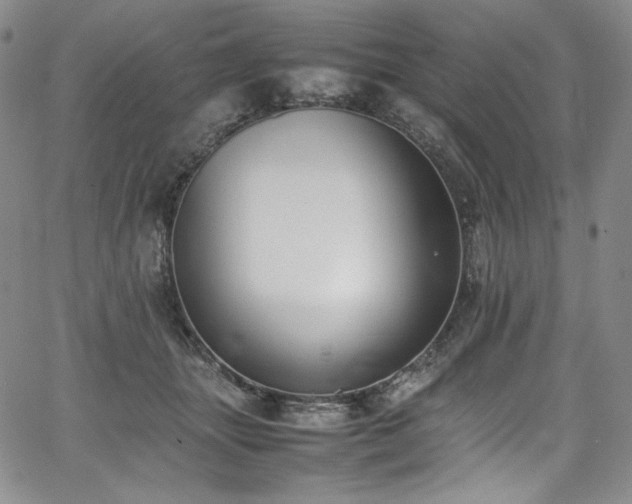 X0000067950463200604131440