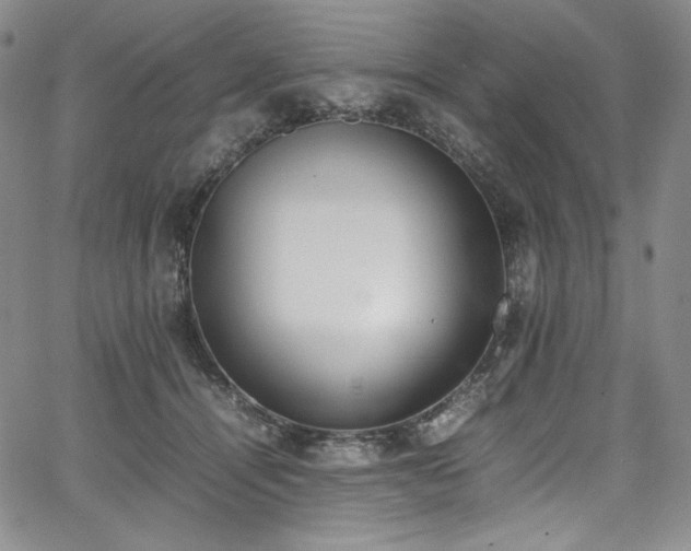 X0000067950464200604131440