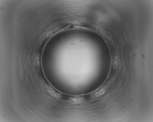 X0000067950466200604131440