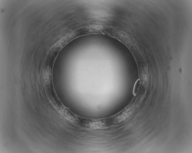 X0000067950468200604131440