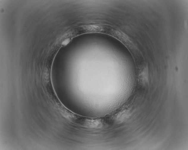 X0000067950469200604131440