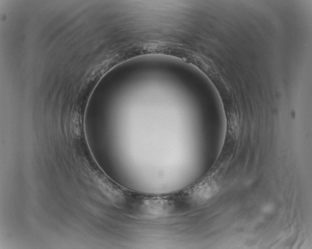 X0000067950470200604131440