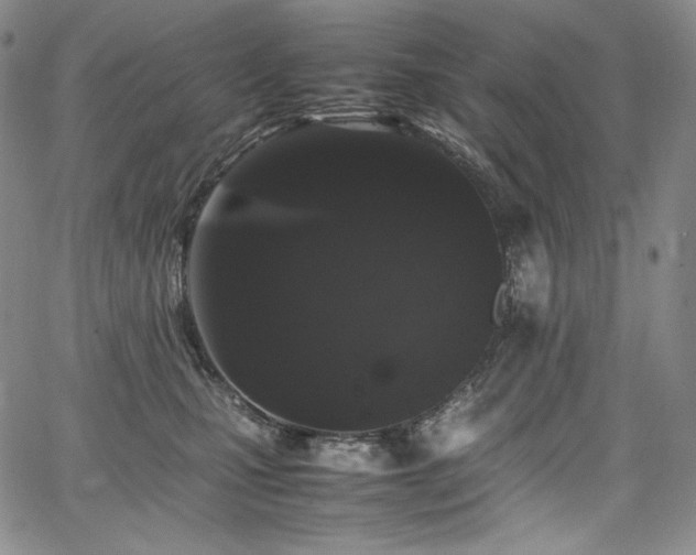 X0000067950471200604131440