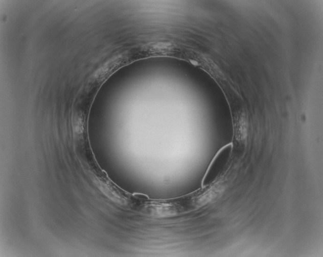 X0000067950472200604131440