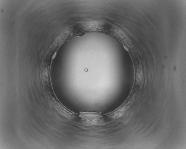 X0000067950473200604131440