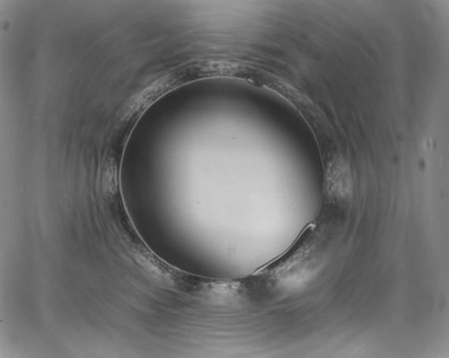 X0000067950474200604131440