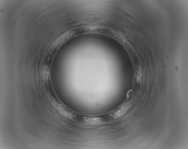 X0000067950476200604131440