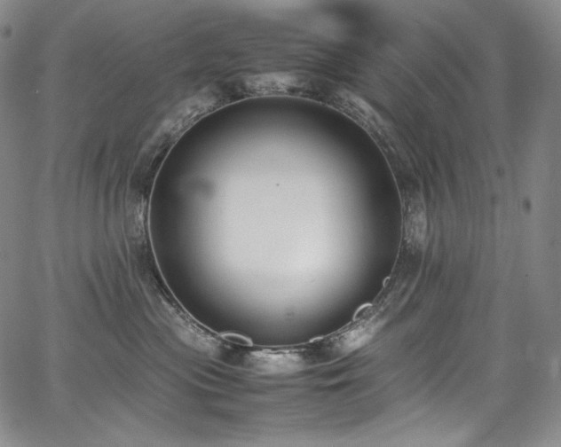 X0000067950477200604131440