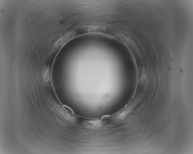 X0000067950478200604131440