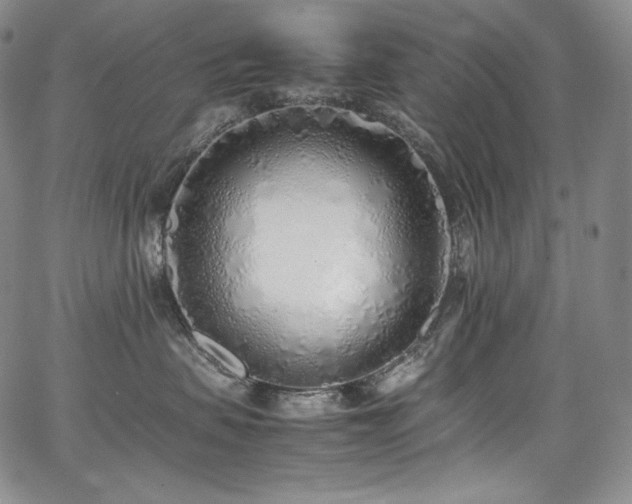 X0000067950479200604131440