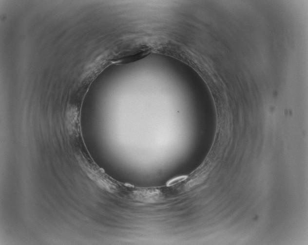 X0000067950480200604131440