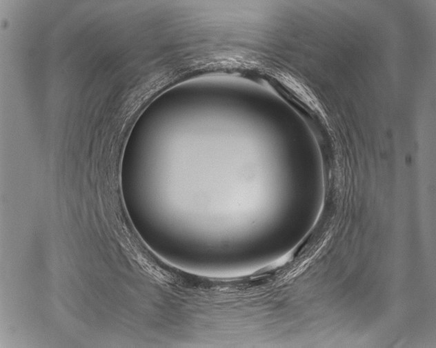 X0000067950481200604131439