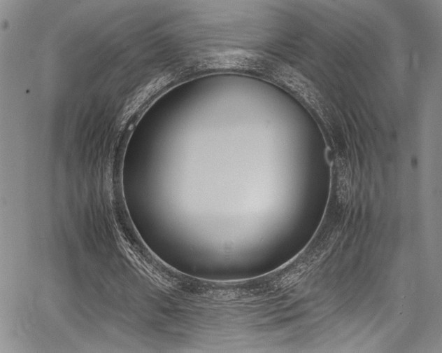 X0000067950482200604131439