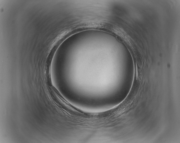 X0000067950483200604131439