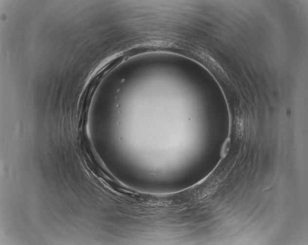 X0000067950484200604131439