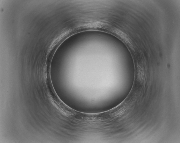 X0000067950486200604131439