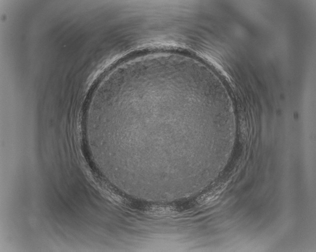 X0000067950487200604131439