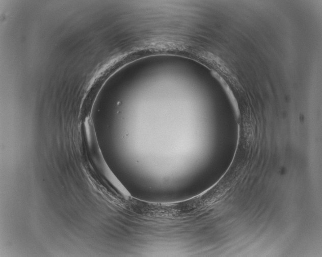 X0000067950488200604131439