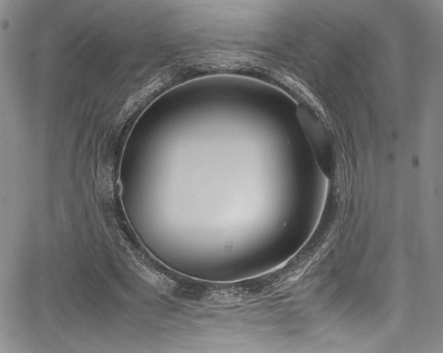 X0000067950489200604131439