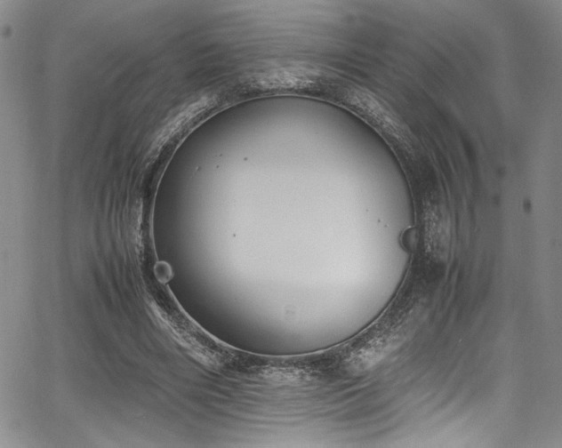 X0000067950490200604131439