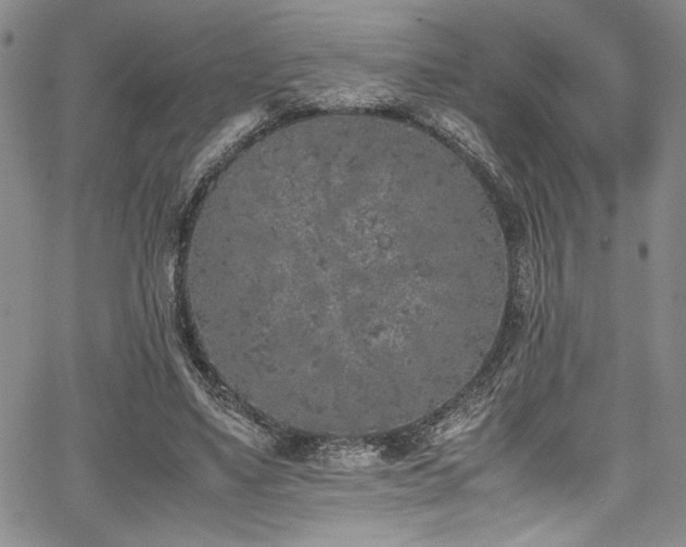 X0000067950491200604131439