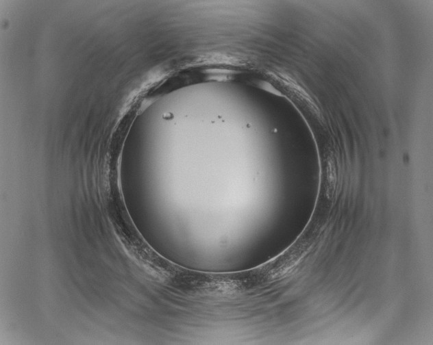 X0000067950492200604131439