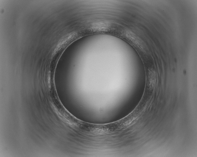 X0000067950494200604131439