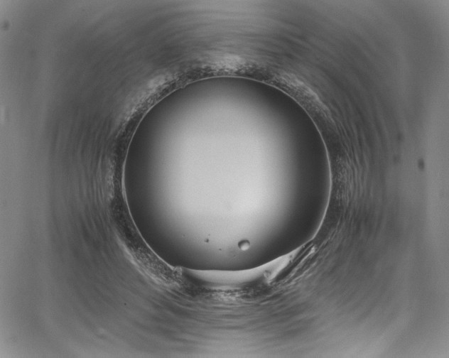 X0000067950496200604131439