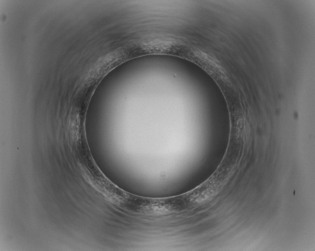 X0000067950498200604131439