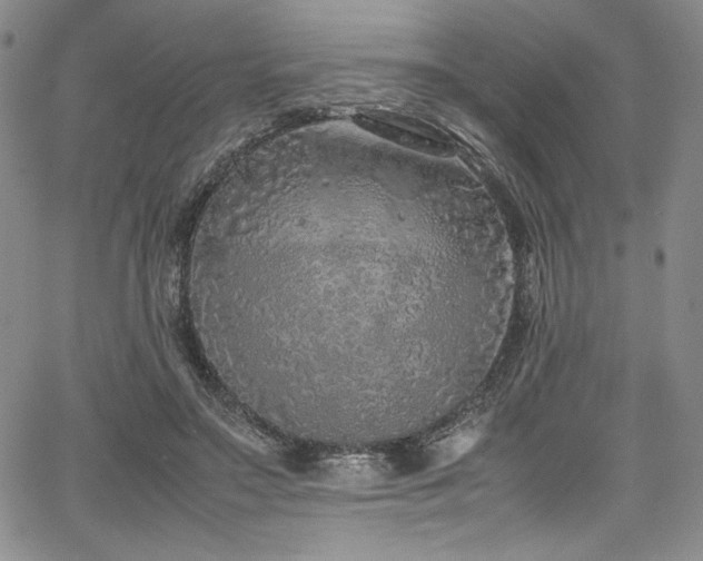 X0000067950499200604131439