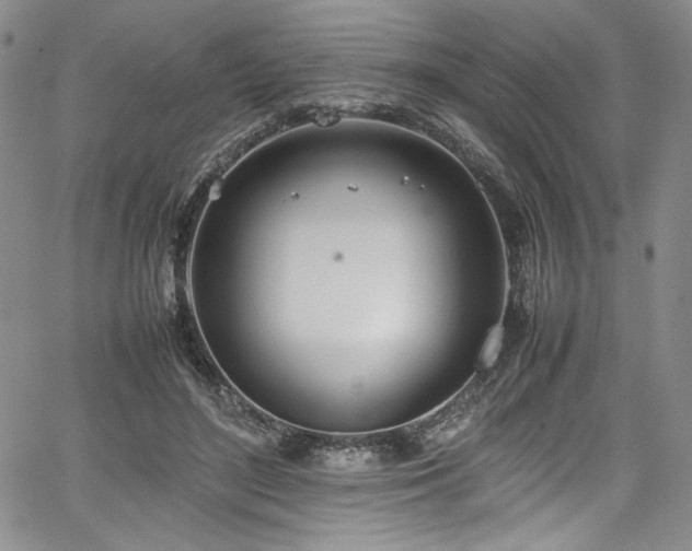 X0000067950500200604131439