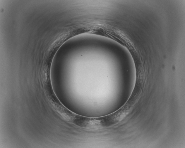 X0000067950501200604131439