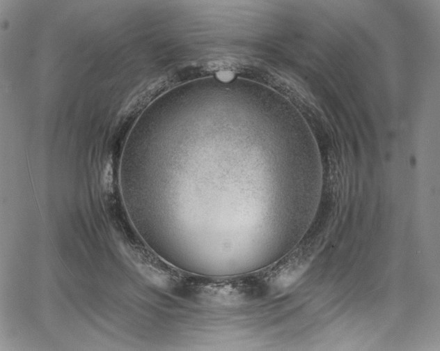 X0000067950502200604131439