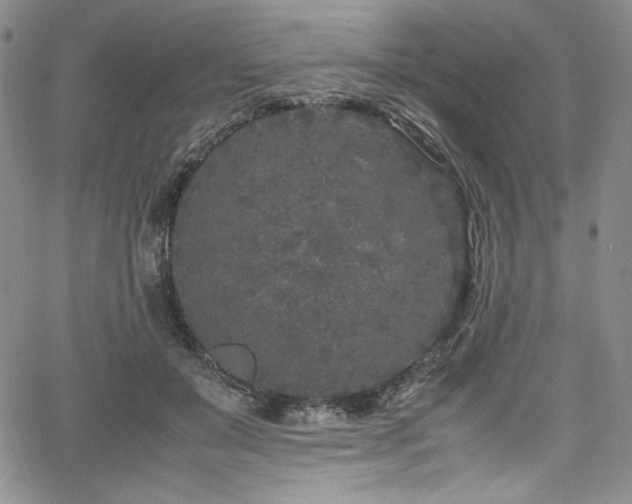 X0000067950503200604131439